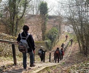 [Escalier-de-Samois3.jpg]