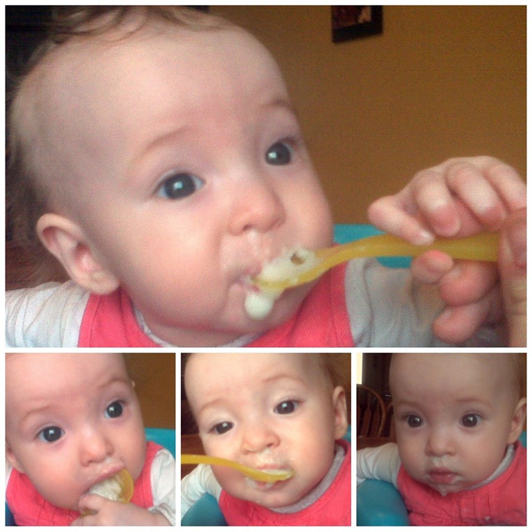 [FirstFoodCollage2[3].jpg]