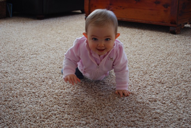 [DSC_0577[2].jpg]