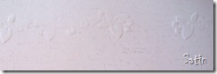 IMG_4810 IMG_4810