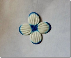IMG_0067 IMG_0067
