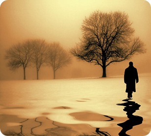 The-stranger