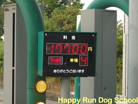 [DSC009114.jpg]