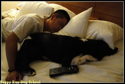 [DSC00660[4].jpg]