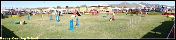 DSC00859