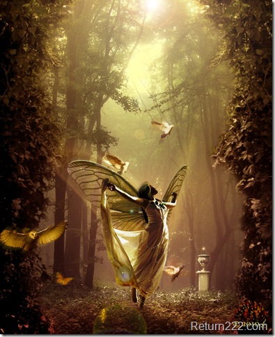 Enchanted_forest_by_ricky4 Enchanted_forest_by_ricky4