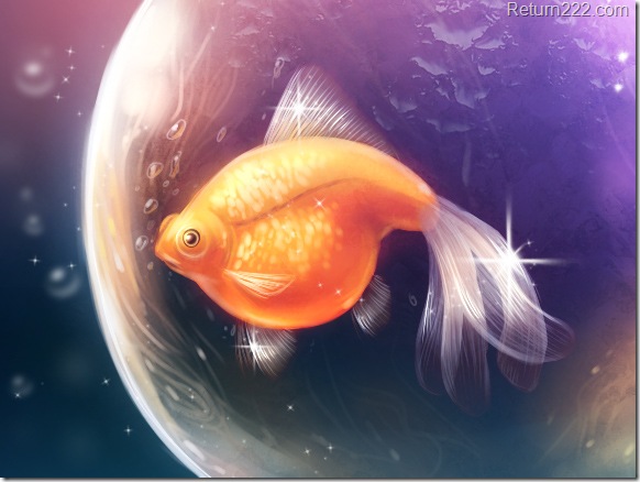 goldfish_by_kikariz-d2y74va goldfish_by_kikariz-d2y74va