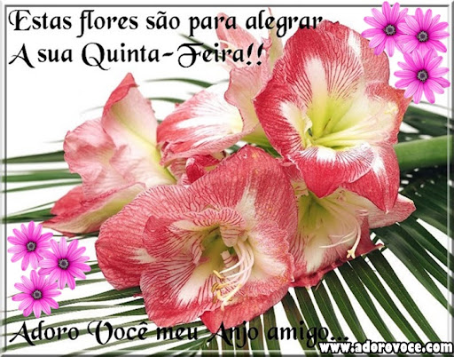 Recado Para Orkut - Amor: 1