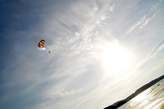 [DSC_12243.jpg]