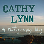 Cathy Lynn