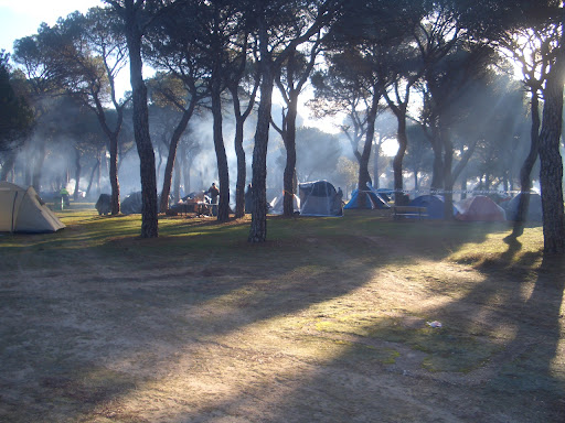 CIMG8879.JPG
