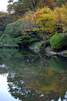 One of the ponds in Shinjuku Gyoen