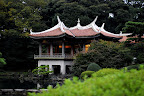 The tea house of Shinjuku Gyoen