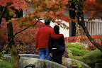 A Japanese couple takes in the autumn foliage in Nikko