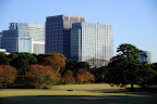 A perfect Tokyo on grass napping spot