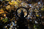 A lone hidden Buddha in Chichibu Saitama Japan