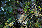 Signs of the Buddha appeared as we hiked deeper into the forest