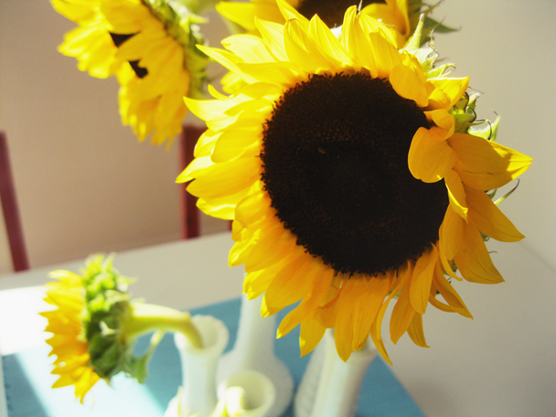 [sunshine[3].png]