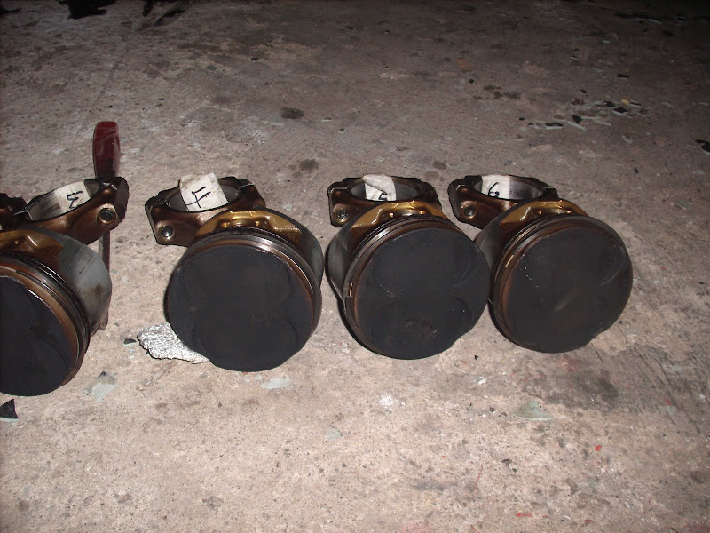 GEDC1391.JPG