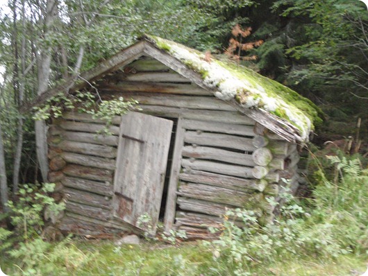 P9030388
