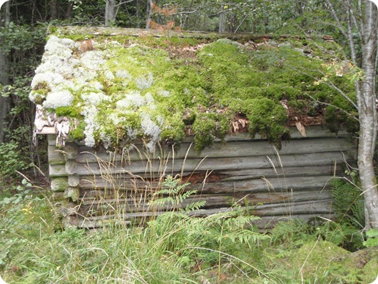 P9030389