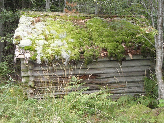 [P9030389[2].jpg]