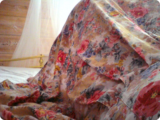012011mobilbilder 009