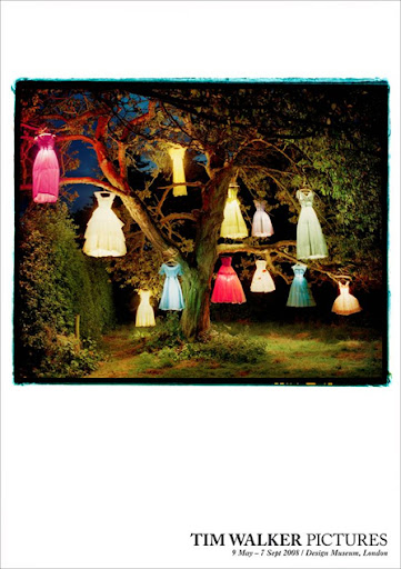 dresses-timwalker.jpg