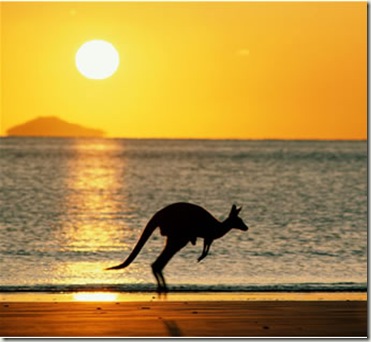 australia_kangaroo