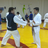Goshin (Defensa Personal)