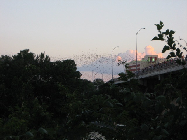 [June-July  11th 2009 038[2].jpg]
