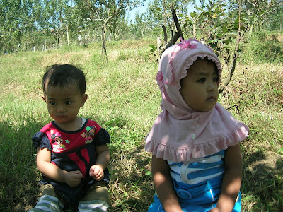 at apple garden