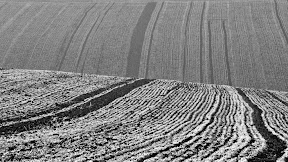 IMG_4547_PS_16_9_B_W_(c)_Bernhard_Plank.jpg