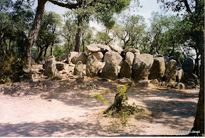 Cova d'en Daina