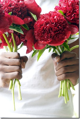 sidra forman florist 2