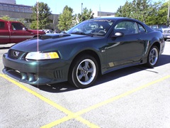 mustang