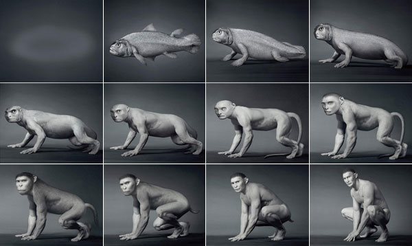 Human Evolution in 12 Pictures