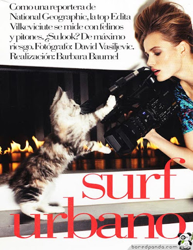 Article: 33 Worst Photoshop worst photoshop fails. Article: 33 Worst Photoshop