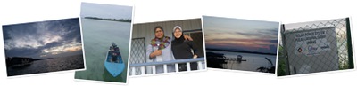 View Faces of Larapan