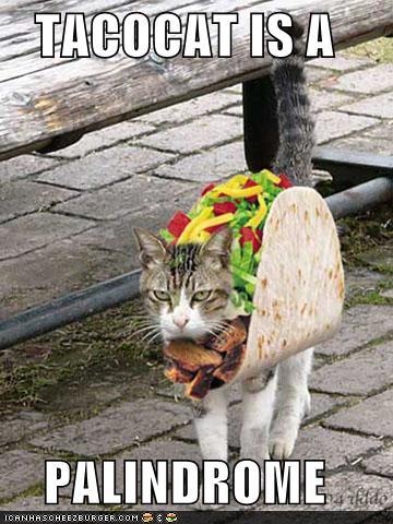 [taco-cat-is-a-palindrome[3].jpg]
