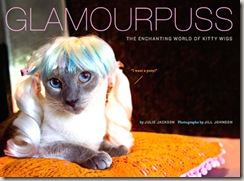 kitty wigs 08
