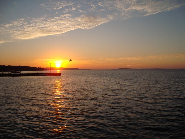 [DSC002545.jpg]