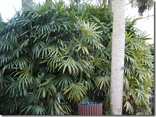 P1010055