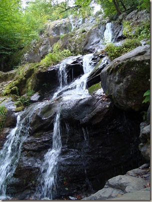 DSC01120