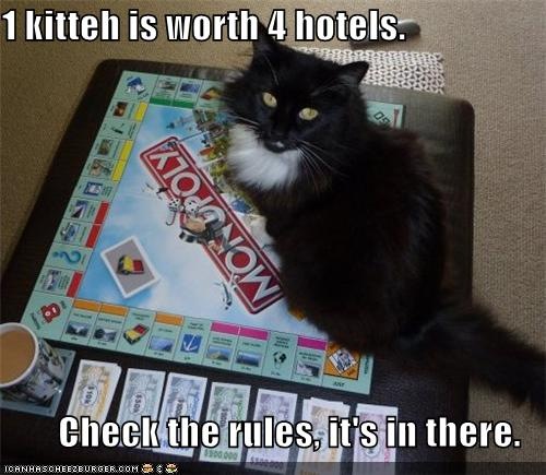 [monopoly cat[3].jpg]