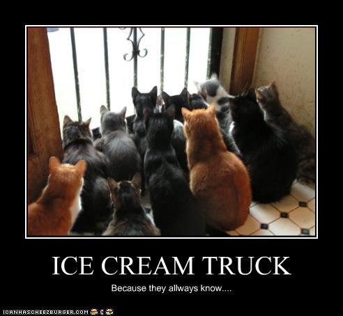 [ice cream truck[4].jpg]