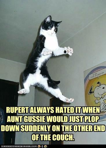[funny-pictures-rupert-always-hated-it-when-aunt-gussie-would-just-plop-down-suddenly-on-the-other-end-of-the-couch[3].jpg]