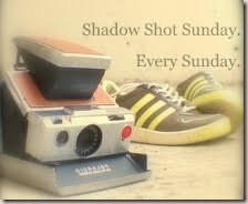 Shadow Shot Sunday