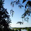 P1010157.JPG