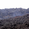P1010445.JPG